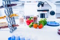 Chemical Laboratory of the Food supply . Food in laboratory, dna modify .GMO Genetically modified food in lab Royalty Free Stock Photo