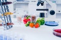 Chemical Laboratory of the Food supply . Food in laboratory, dna modify .GMO Genetically modified food in lab Royalty Free Stock Photo