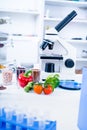 Chemical Laboratory of the Food supply . Food in laboratory, dna modify .GMO Genetically modified food in lab Royalty Free Stock Photo