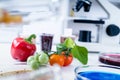 Chemical Laboratory of the Food supply . Food in laboratory, DNA modify .GMO Genetically modified food in lab Royalty Free Stock Photo