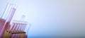 Chemical laboratory with glass test tubes and flasks Royalty Free Stock Photo