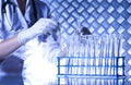 Chemical laboratory glassware Royalty Free Stock Photo