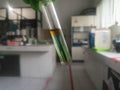 Chemical liquid in a test tube container& x29;