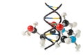 Chemical molecule model and DNA structure model over white background