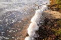 Chemical origin on the surface polluted foam dirty water pollution junk beach