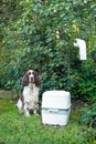 Chemical portable toilet and dog are standing on outdoors. The concept of cleaning behind his dog on the street