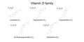 Chemical and structural formulas of vitamin D vitamers