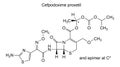 Chemical structure of cefpodoxime proxetil, drug substance Royalty Free Stock Photo