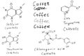 chemical structure of coffee. caffeine formula.