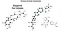 Chemical structure diagrams representing molecules labeled as \