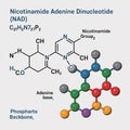 Nicotinamide Adenine Dinucleotide N A D molecule structure Royalty Free Stock Photo
