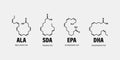 Chemical structure of omega-3 fatty acids. Stearidonic Acid SDA, Eicosapentaenoic Acid EPA, Docosahexaenoic Acid DHA and