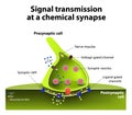 Chemical synapse Royalty Free Stock Photo