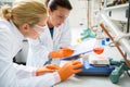 Chemical technicians working on experiment in laboratory Royalty Free Stock Photo