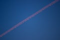 pink Chemical trail from airline fuel in the deep blue Royalty Free Stock Photo