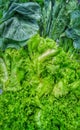 chemically contaminated vegetables