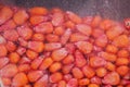 Chemically treated corn maize seed in seeding machine