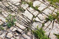 Chemically weathered cracks in limestone