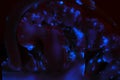 Chemiluminescence made by luminol Royalty Free Stock Photo