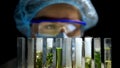 Chemist checking reaction in tubes with plants, alternative fuel development Royalty Free Stock Photo