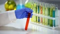 Chemist checking tube with orange liquid, dyestuff agent, washing substance Royalty Free Stock Photo