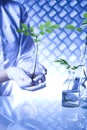 Chemistry equipment, plants laboratory experimental Royalty Free Stock Photo