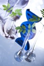 Chemistry equipment, plants laboratory experimental Royalty Free Stock Photo