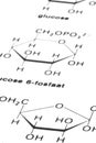 Chemistry formulas Royalty Free Stock Photo