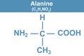 Chemistry illustration of Alanine in blue