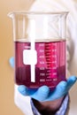 Chemistry lab beaker with permanganate Royalty Free Stock Photo