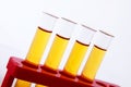 Chemistry test tubes Royalty Free Stock Photo