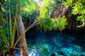 Chemka hot springs (Kikuletwa) near Moshi, Tanzania