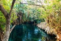 Chemka hot springs (Kikuletwa) near Moshi, Tanzania