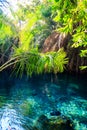 Chemka hot springs (Kikuletwa) near Moshi, Tanzania