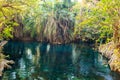 Chemka hot springs (Kikuletwa) near Moshi, Tanzania