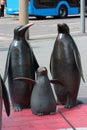 Chemnitz, Germany - June 12, 2023: Emperor penguins, a sculpture group by Peter Kallfels dedicated to the degree of longitude that