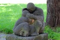 Chemnitz, Germany - June 12, 2023: Sitting mother with child, a 1974 sculpture by Ingeborg Hunzinger in Stadthallenpark