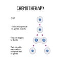 Chemotherapy: The use of drugs to treat cancer by targeting and killing cancer cells throughout the body