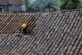 A worker is replacing old roof tiles on a traditional rural house