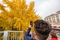 Young man taking photos of yellow leaves on gingko trees in Chengdu