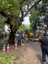 Chennai, Tamil Nadu, India - December 05 2023: Greater Chennai Corporation workers clearing out the debris froom the fallen tree