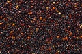 Chenopodium quinoa textured background of grains. Black Quinoa closeup of seed.