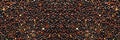 Chenopodium quinoa textured background of grains. Black Quinoa closeup of seed.