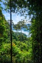 Cheow Lan Lake jungle landscape, Khao Sok, Thailand