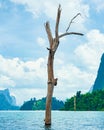 Cheow Lan Lake Khao Sok National Park Thailand