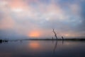 Chepu, Chiloe Island, Chile - Kayaking at Dawn on the Misty Foggy Tidal River Chepu