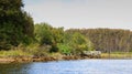 The Chepu River, Chiloe, Chile