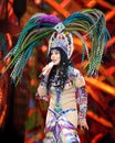 Cher Performs in Concert