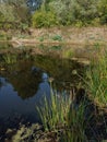 Cheremshan river in Russia, reflex in water Royalty Free Stock Photo