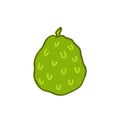 Cherimoya doodle icon